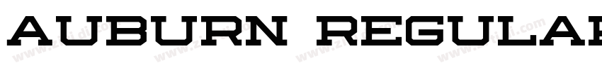 Auburn Regular字体转换